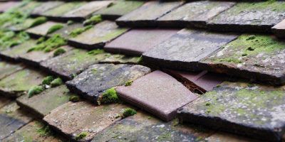 Bucknell roof repair costs